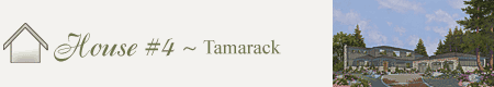 Seattle Street of Dreams - House 4 - Tamarack